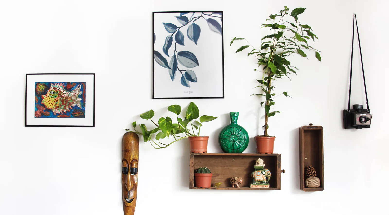 How to Create a Beautiful Indoor Plant Display